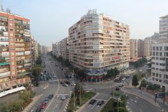 IMG_0551