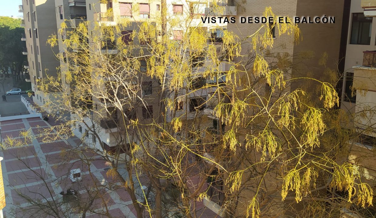 VISTAS2
