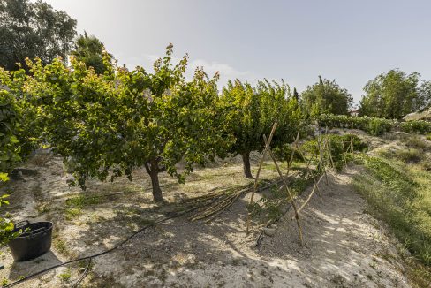 Albertomarin_photo-36