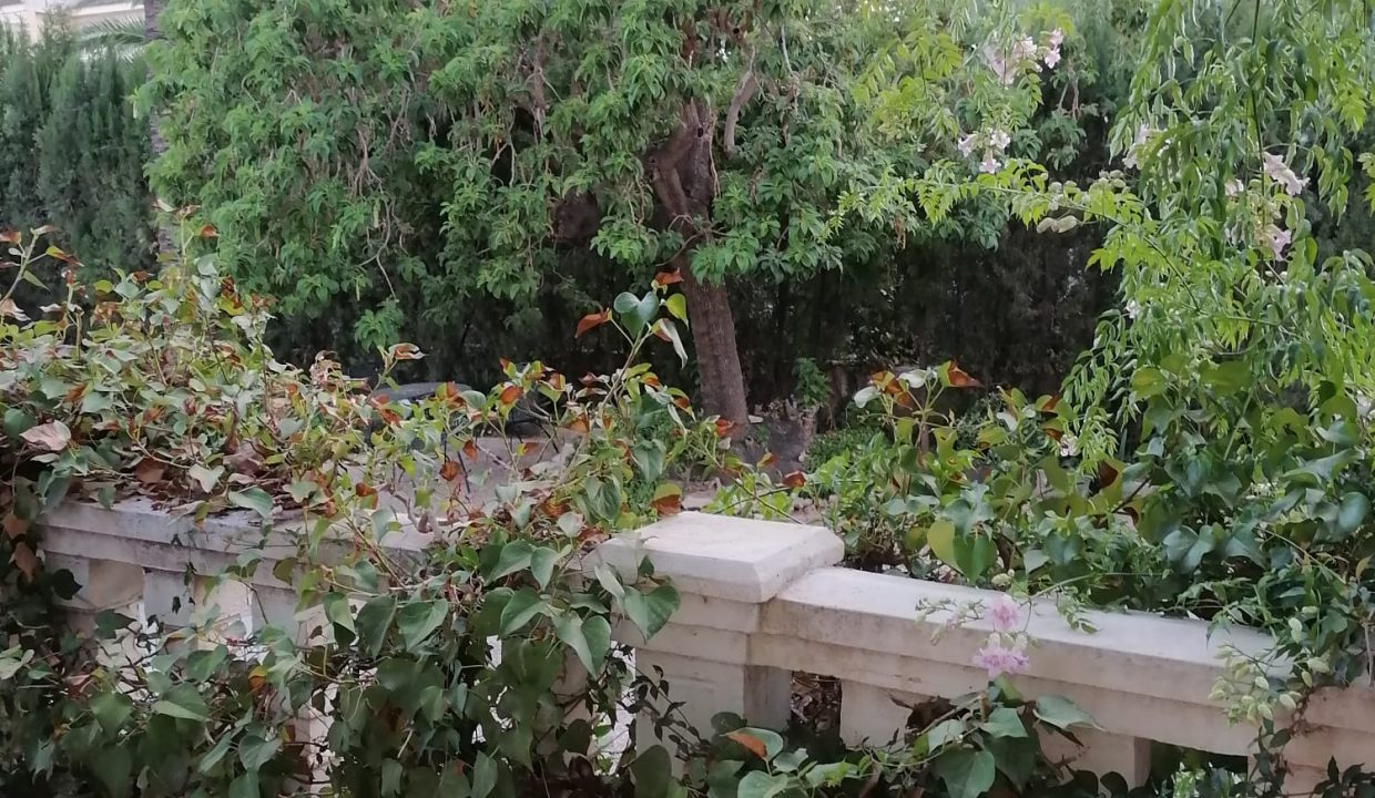 WhatsApp Image 2025-03-20 at 19.44.42 (1)